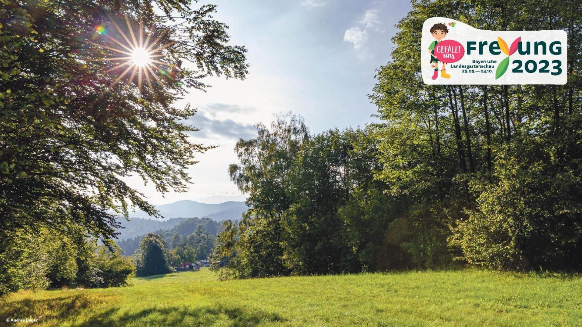 Ferienwohnungen Bayerischer Wald Mit Pool Freyung Dış mekan fotoğraf